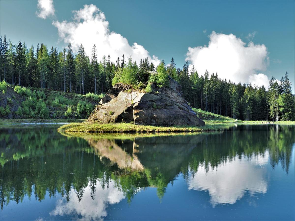 Naturforsthaus Gartenblick Fuer Hunde - Und Naturverbundene Menschen Preitenegg 외부 사진