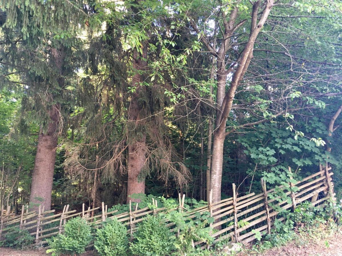 Naturforsthaus Gartenblick Fuer Hunde - Und Naturverbundene Menschen Preitenegg 외부 사진