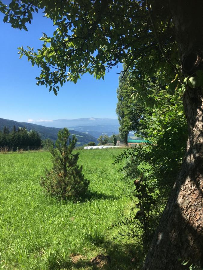 Naturforsthaus Gartenblick Fuer Hunde - Und Naturverbundene Menschen Preitenegg 외부 사진