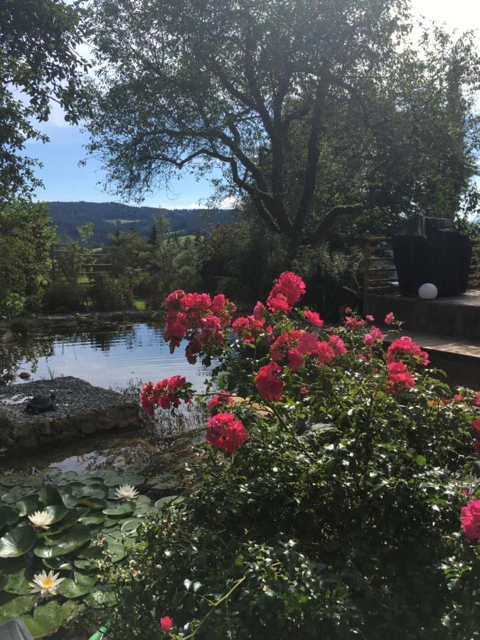 Naturforsthaus Gartenblick Fuer Hunde - Und Naturverbundene Menschen Preitenegg 외부 사진